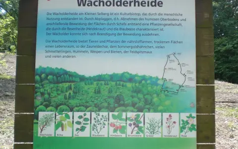 Infotafel zur Wacholderheide am Kleinen Selberg, die Lebensraum für viele Tiere und Pflanzen bietet. Sieben Quellen der Information sind hier dargestellt.