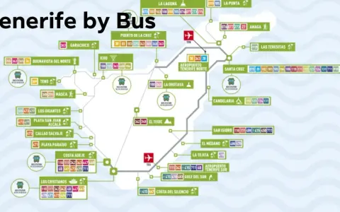 Mapa komunikacji miejskiej Teneryfy. Zobacz, jak łatwo podróżować po wyspie autobusami, odkrywając jej uroki.