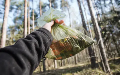 Ręka trzyma worek ze śmieciami w lesie. Zasady "leave no trace" to dbanie o przyrodę.