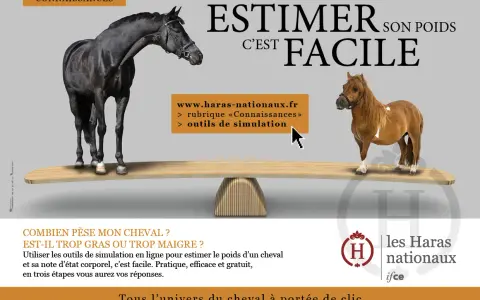 Un grand cheval noir et un petit poney brun sont sur une balance. Estimer le poids cheval est facile avec les outils en ligne des Haras Nationaux.