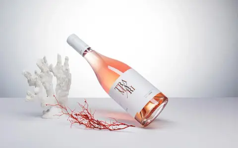 Flasche Roséwein von Cantine San Marzano, umgeben von Korallen und Seetang, auf hellem Hintergrund.