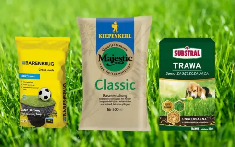 Ranking nawozów do trawy: Barenbrug RPR Lawn, Kiepenkerl Majestic Classic i Substral Trawa Samo Zagęszczająca. Wybierz najlepszy dla swojego ogrodu!