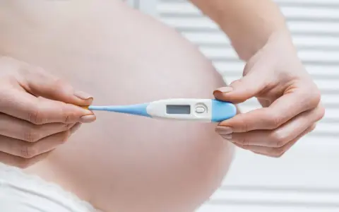 Mani di donna incinta tengono un termometro digitale. Monitorare la temperatura è importante per escludere la febbre in gravidanza.