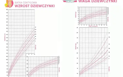 Siatki centylowe do monitorowania wzrostu i wagi dziewczynki. Wykresy pokazują prawidłowy rozwój dziecka.