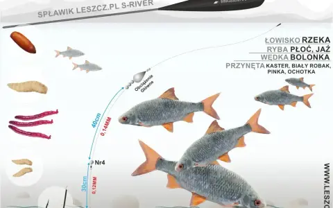 Jaki spławik na rzekę? Ilustracja pokazuje zestaw do połowu płoci i jaź na bolonkę, z przynętami: kaster, biały robak, pinka, ochotka.