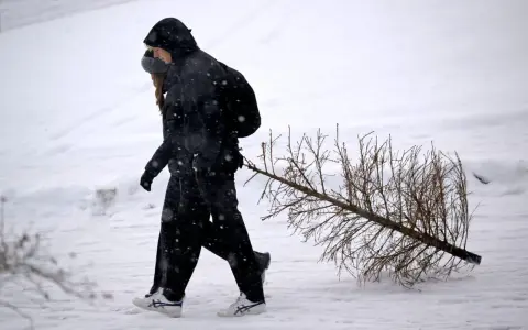 Två personer går genom snön och drar en julgran. Dags att få ut granen!
