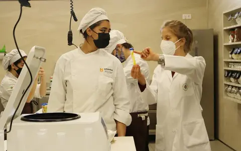 Gasma CEU - Universidad de Gastronomía: Formación y Oportunidades Únicas