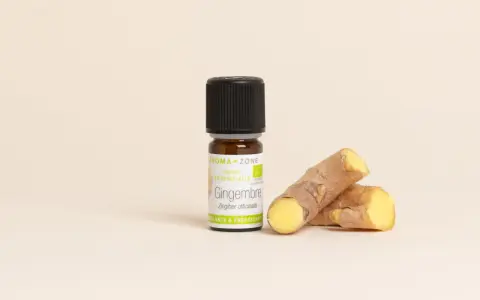 Flacon d'huile essentielle de gingembre bio, aux côtés de morceaux de rhizomes frais. Un concentré de vitalité.