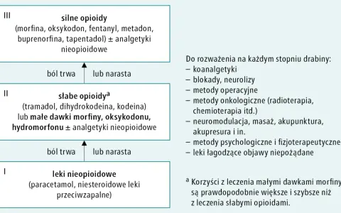 Schemat drabiny analgetycznej: leki nieopioidowe, słabe opioidy (np. oksykodon), silne opioidy (np. oksykodon 80 mg).