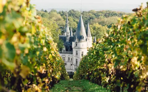 Un château majestueux se dévoile entre les vignes, invitant à visiter Reims à pied.