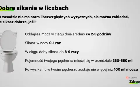 Ile razy dziennie powinno się sikać? W ciągu dnia średnio co 2-3 godziny, w nocy 0-1 raz. W sumie do 8-9 razy na dobę.