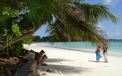Rajska plaża, palmy, turkusowa woda – tak właśnie wyglądają Seszele. Dwie osoby pod palmą podziwiają widok.