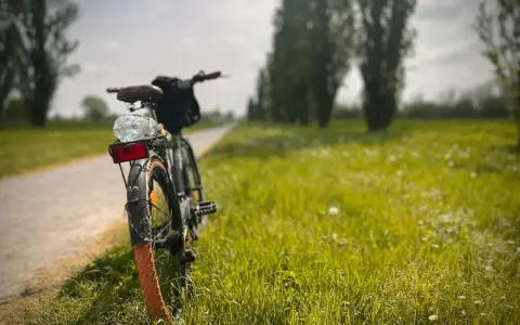 Rower na ścieżce w trawie, gotowy do wycieczki po malowniczych górach Pieniny.