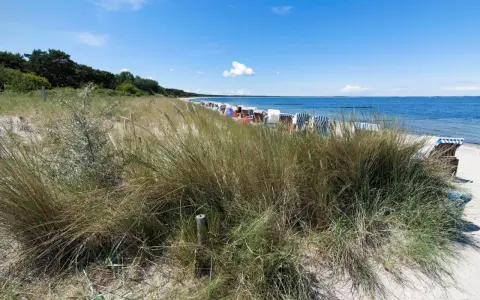 Strandgras und Strandkörbe am Meer. Ein ruhiger Ostsee Geheimtipp mit blauem Himmel und sanften Wellen.