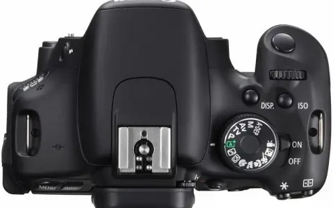 Lustrzanka Canon 600D: Poznaj jej mocne i słabe strony w fotografii