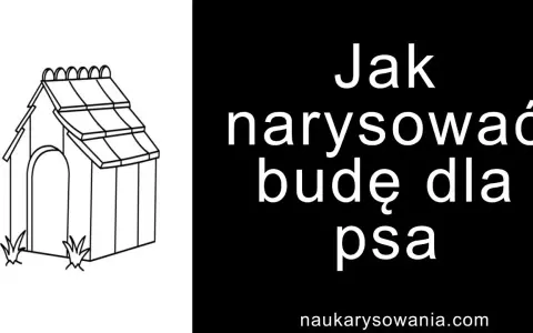Jak narysować budę dla psa - proste kroki, które zaskoczą każdego