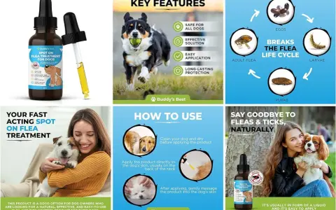 Une femme câline son chien, avec une bouteille de traitement anti puces naturel. Le produit est facile à appliquer et efficace.