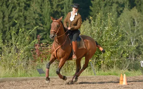 Reiterin in brauner Reitjacke und Hut auf einem braunen Pferd, das im Trab über den Reitplatz galoppiert. Ein ruhiges Bein beim Reiten ist zu sehen.