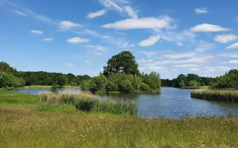 Idyllische Landschaft am Auesee Espelkamp mit blauem Himmel, Wolken und üppiger Vegetation.