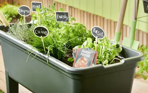 Un **orto facile** con erbe aromatiche: basilico, prezzemolo, erba cipollina, menta e timo. Piccoli cartelli indicano le piante.