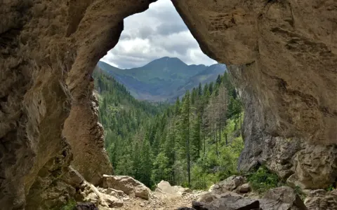 Widok z jaskini na Tatry. Pawlikowski stworzył tu "okno" na dolinę pełną drzew.