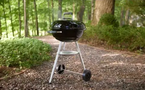 Barbecue Weber noir, prêt pour un repas en plein air. L'origine des bons moments.