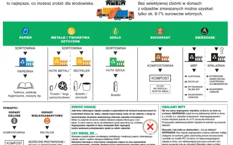 Segregacja odpadów to klucz do niższych opłat za śmieci. Dowiedz się, jak prawidłowo sortować, by chronić środowisko i oszczędzać.