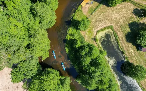 Spływ kajakowy malowniczą rzeką to jedna z wielu atrakcji Kociewia. Dwie kajaki płyną wśród bujnej zieleni.