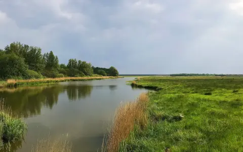 Idyllische Flusslandschaft mit grünen Wiesen und Bäumen, perfekt für eine Wanderung in Schleswig-Holstein.