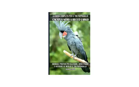 Un cacatua nero a becco largo, con il suo carattere unico, posa su un ramo. La copertina di un manuale ne illustra la cura.