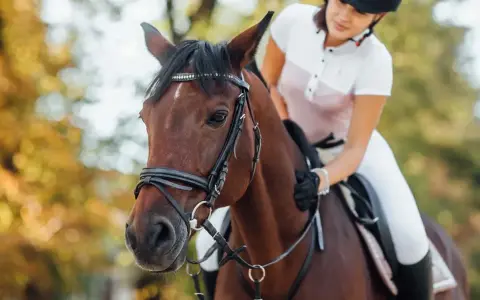 Une cavalière en tenue d'équitation, en plein **confiage cheval**, est assise sur un magnifique cheval brun. L'automne est présent avec des arbres aux couleurs chaudes en arrière-plan.