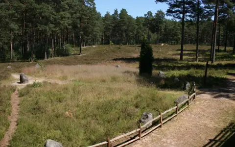 Kamienne kręgi, niczym polskie Stonehenge, otoczone lasem i wrzosowiskiem.