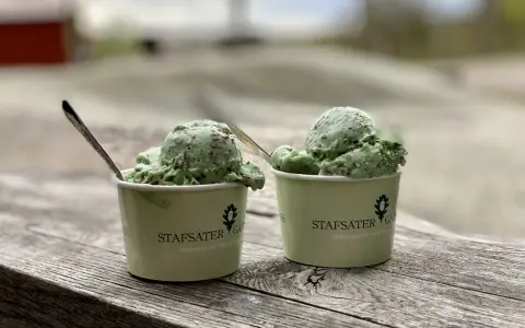 Två muggar med mintchokladglass från Stafsäter Gård, perfekt för en sommardag på Kungsholmen.