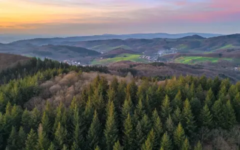 Blick über den Odenwald mit Nadelwald im Vordergrund und sanften Hügeln, grünen Wiesen und einem Dorf im Tal. Perfekt für Odenwald wandern.