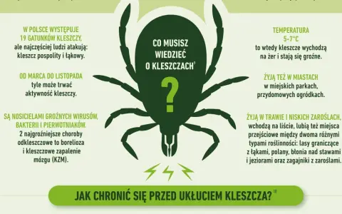 Grafika informuje o kleszczach, ich aktywności i zagrożeniach. Warto rozważyć szczepionkę na kleszcze, by uniknąć chorób.
