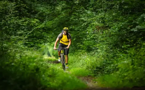 Mężczyzna w żółtej koszulce jedzie rowerem po leśnej trasie rowerowej Rzeszów.