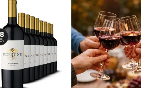 Eine Reihe von Flaschen des italienischen Negroamaro Weins, daneben Menschen, die mit Weingläsern anstoßen.