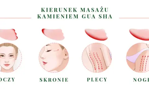 Ilustracja pokazuje kierunki masażu kamieniem gua sha na oczy, skronie, plecy i nogi.