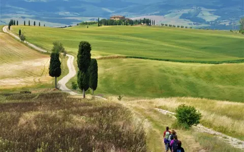 Un sentiero serpeggia tra dolci colline verdi nel Val d'Orcia provincia, con cipressi e una casa colonica in lontananza.