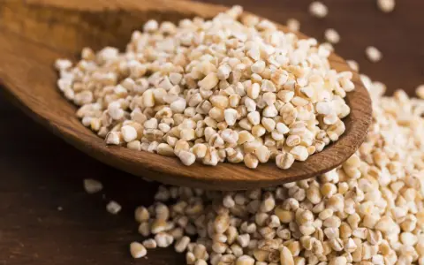 Kasza jęczmienna na drewnianej łyżce. Czy kasza jęczmienna ma gluten? Tak, jęczmień zawiera gluten.