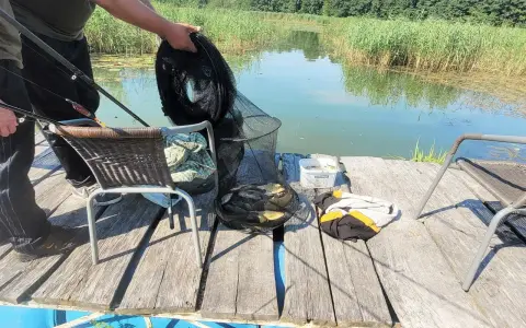 Udany połów na łowisku Chojnca. W siatce kilka ryb, obok wędki i krzesła.