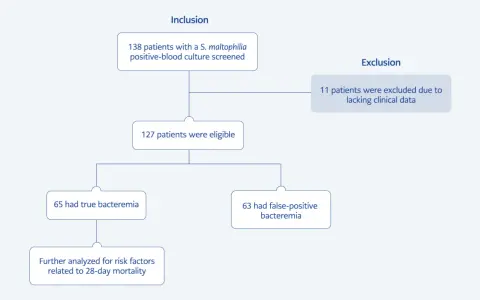 Diagramma di flusso: 138 pazienti con Stenotrophomonas maltophilia inclusi, 11 esclusi. 127 idonei, 65 con batteriemia reale, 63 con batteriemia falsa.