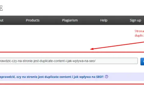 Duplicate content: Jak wykryć i wyeliminować? Pełen poradnik.
