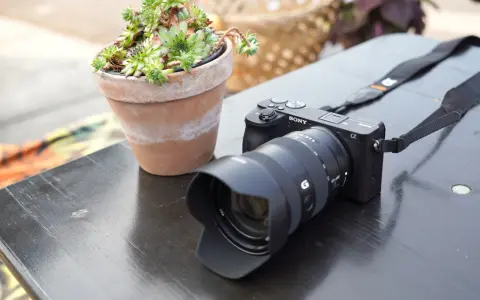 Cámara Sony a6600 con lente y suculenta en maceta sobre mesa de madera.