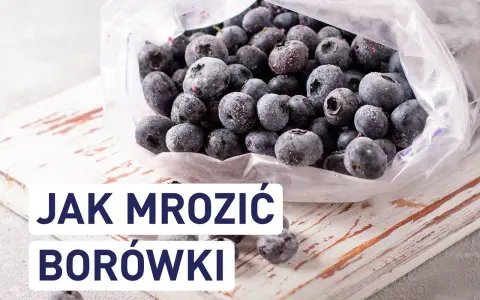 Mrożone borówki w woreczku. Dowiedz się, czy borówki można mrozić i jak to zrobić, by zachowały świeżość.