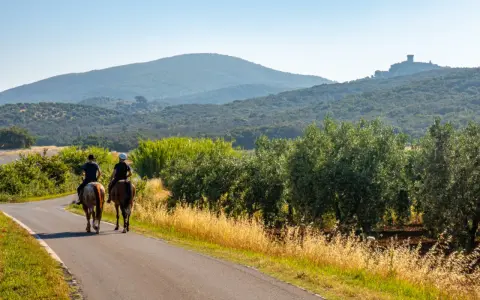 Due cavalieri godono di una **passeggiata a cavallo toscana** tra ulivi e colline, con un castello in lontananza.