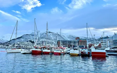 Segelboote und Fischerboote liegen im **Tromsø Hafen** vor schneebedeckten Bergen.