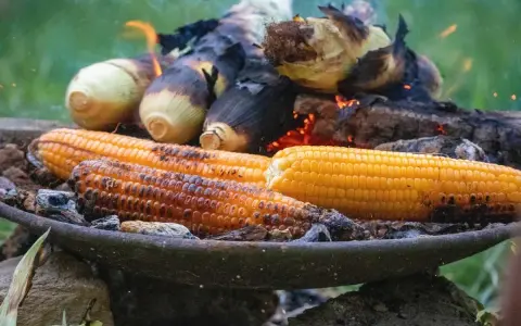 Kukurydza pieczona na ogniu. Zastanawiasz się, ile gotować kukurydzę, by była idealna? Ta wygląda na gotową!