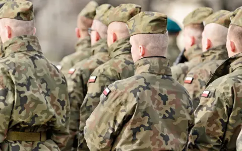 Żołnierze w mundurach polowych stoją w szeregu, widok z tyłu.