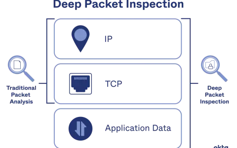 Diagram illustrating Deep Packet Inspection (DPI) engine, showing layers of IP, TCP, and Application Data, contrasted with Traditional Packet Analysis.